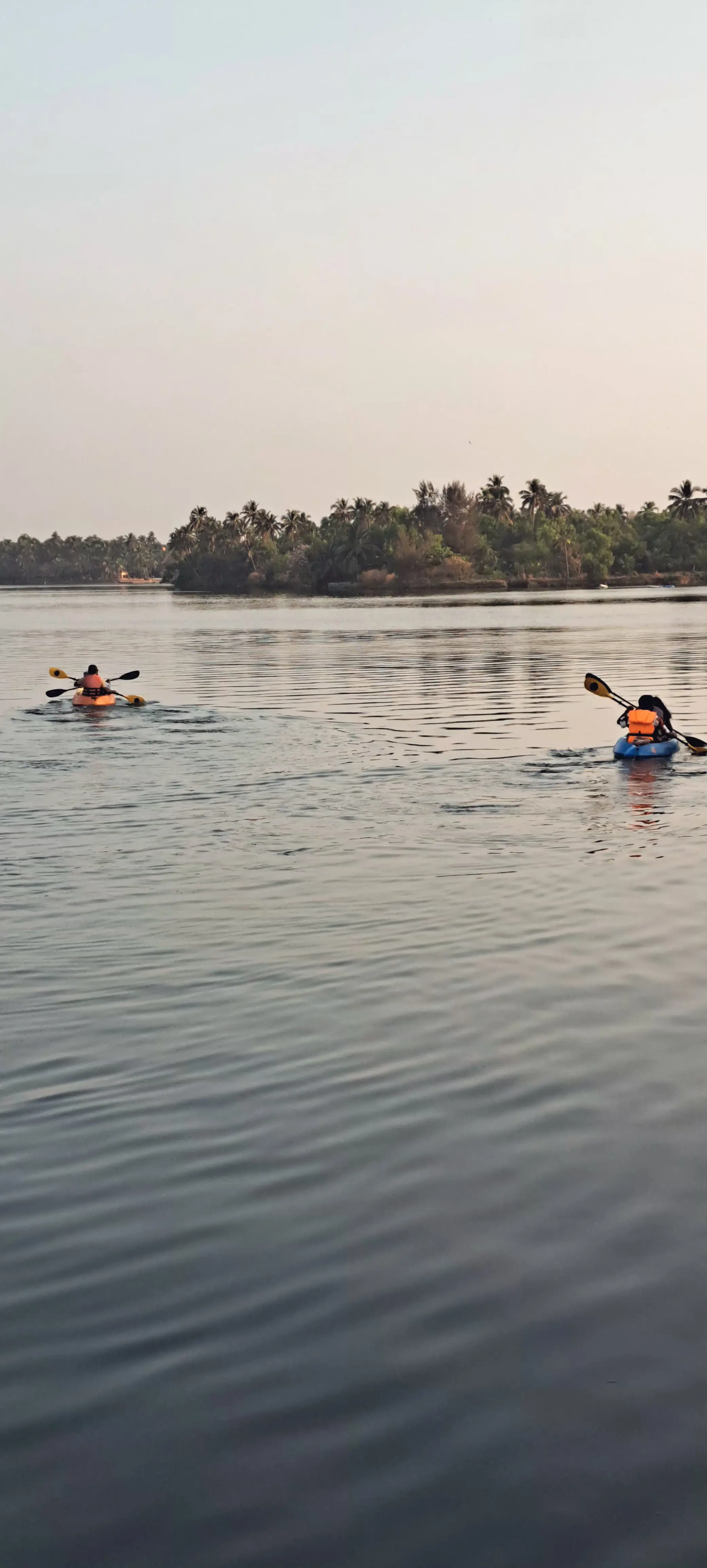 Group kayaking in the calm river