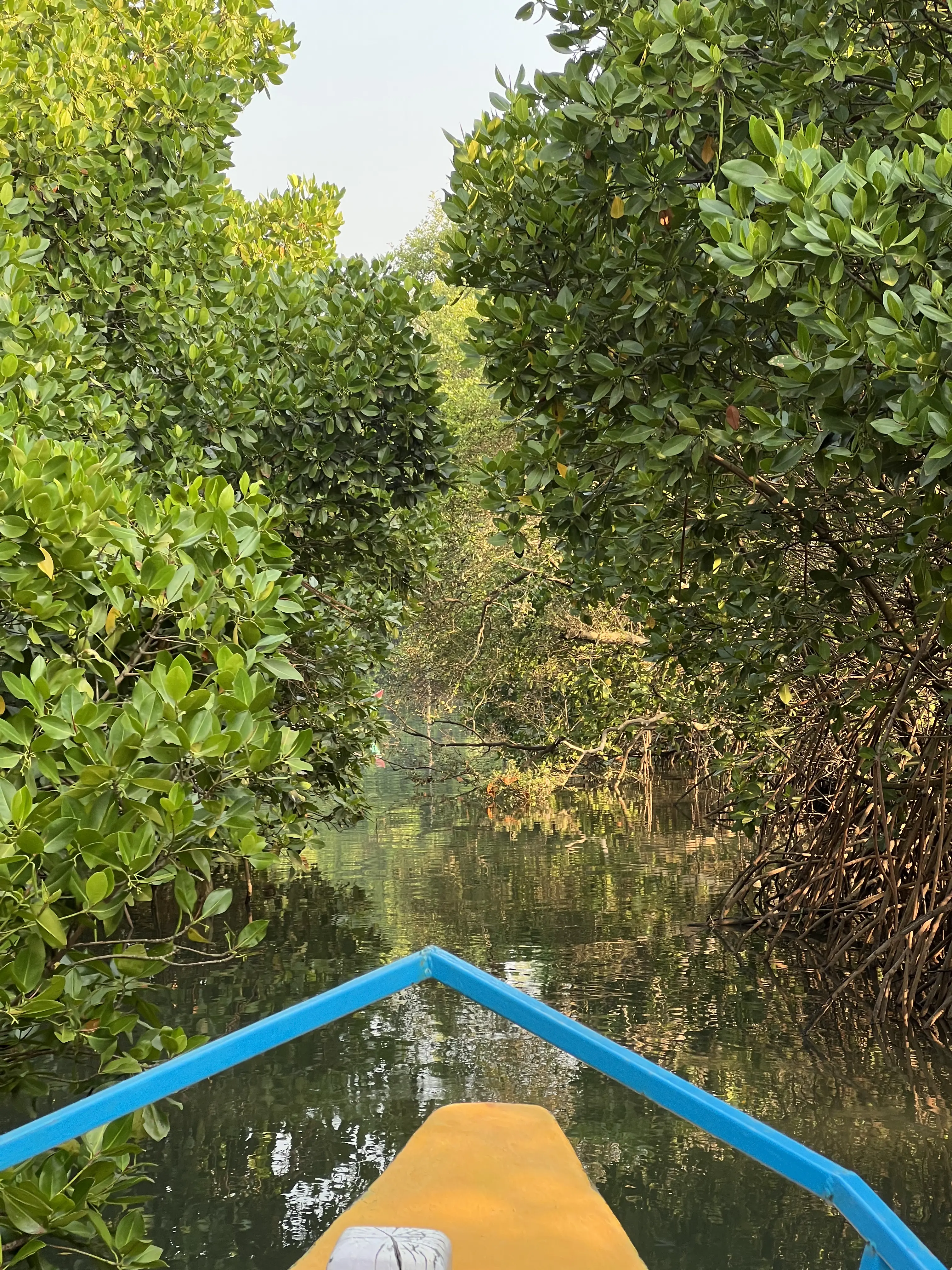 Tranquil morning mist over the river