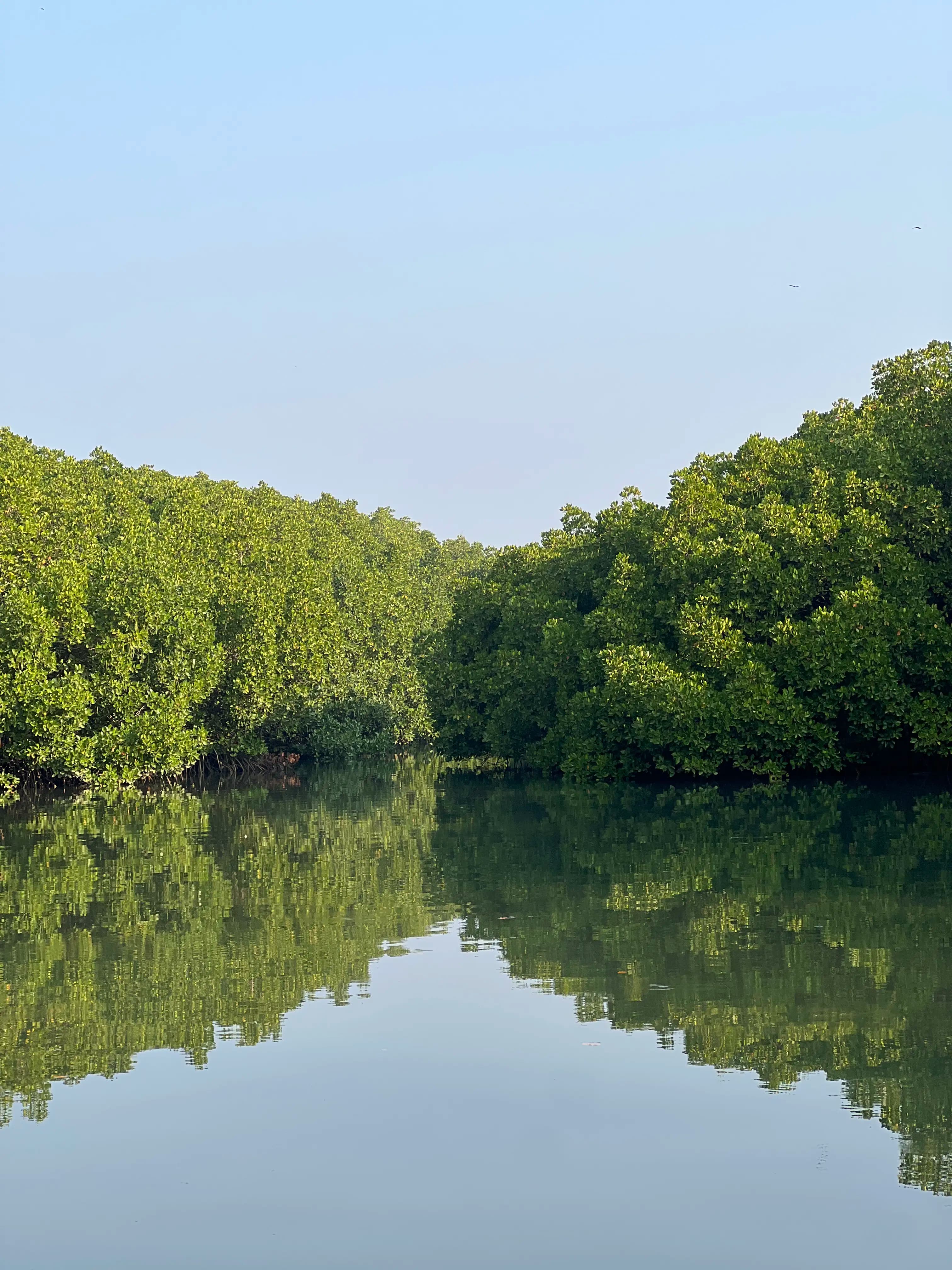 Boats resting by the gentle river